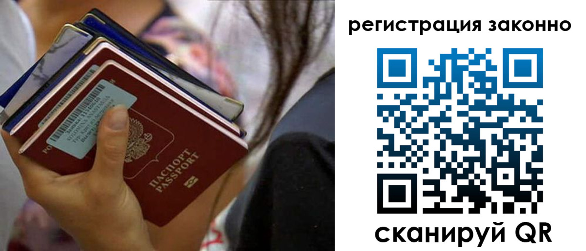 прописка в Курской области